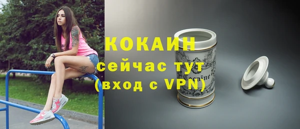 твердый Нягань