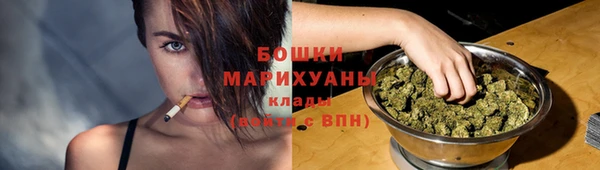 твердый Нягань
